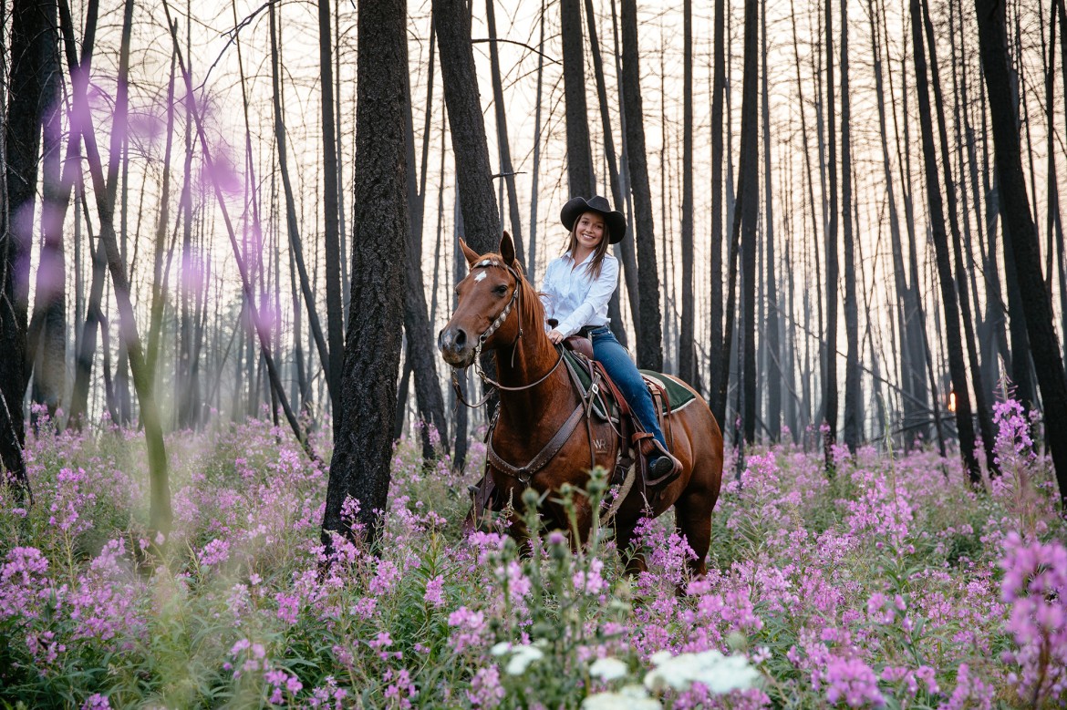Horseback ride through vibrant pink wildflowers amid an ebony forest