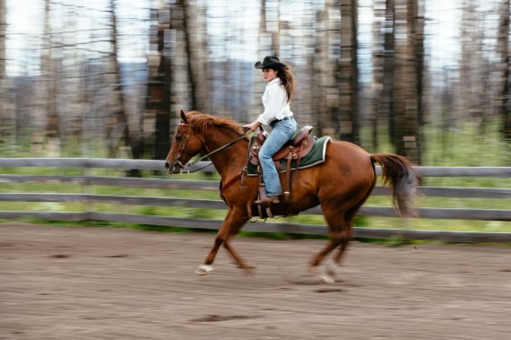 The best horseback riding adventures at Siwash Lake.
