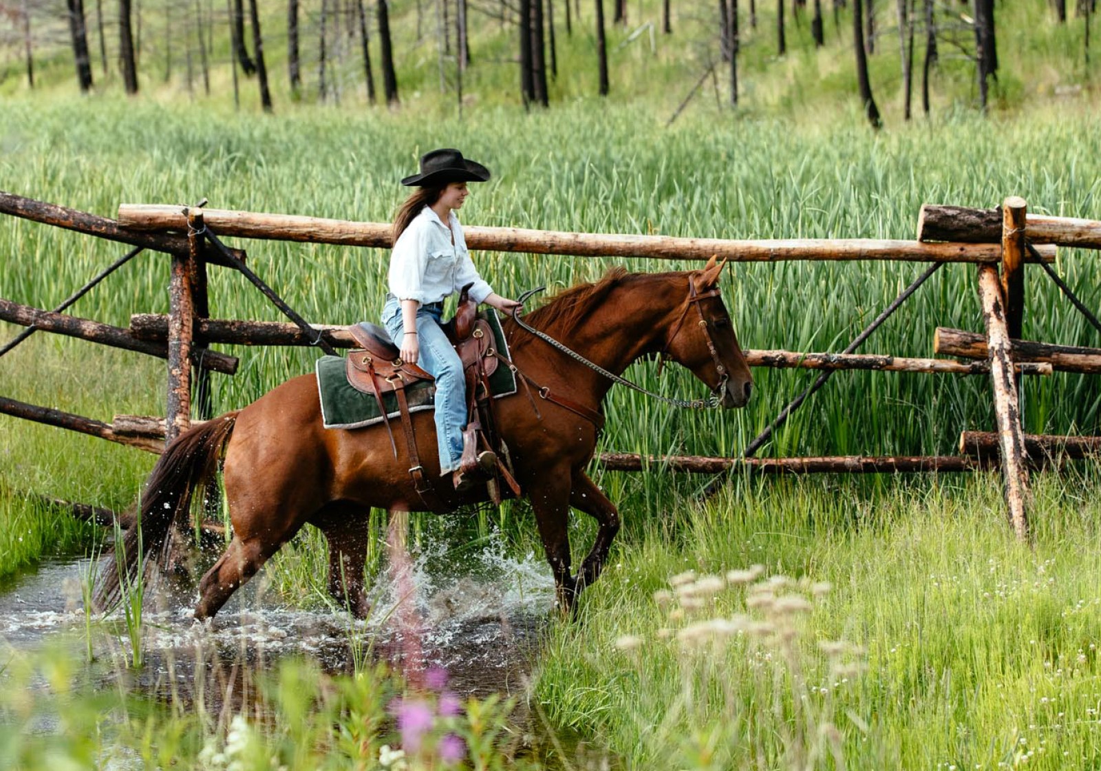 Freedom to horseback ride on your own during the luxury equine experience at Siwash Lake