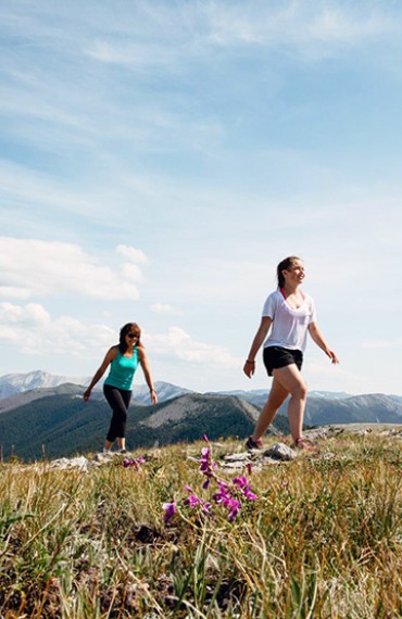 Alpine Hiking during the Gold Rush Canyon Safari