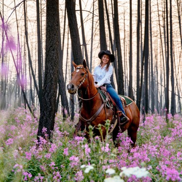 Horseback riding in luxury amid an enchanting Canadian landscape at Siwash Lake