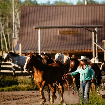 We have our own herd of horses at our luxury ranch