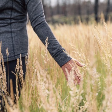 Run your fingers through the feathery grass in a wild meadow
