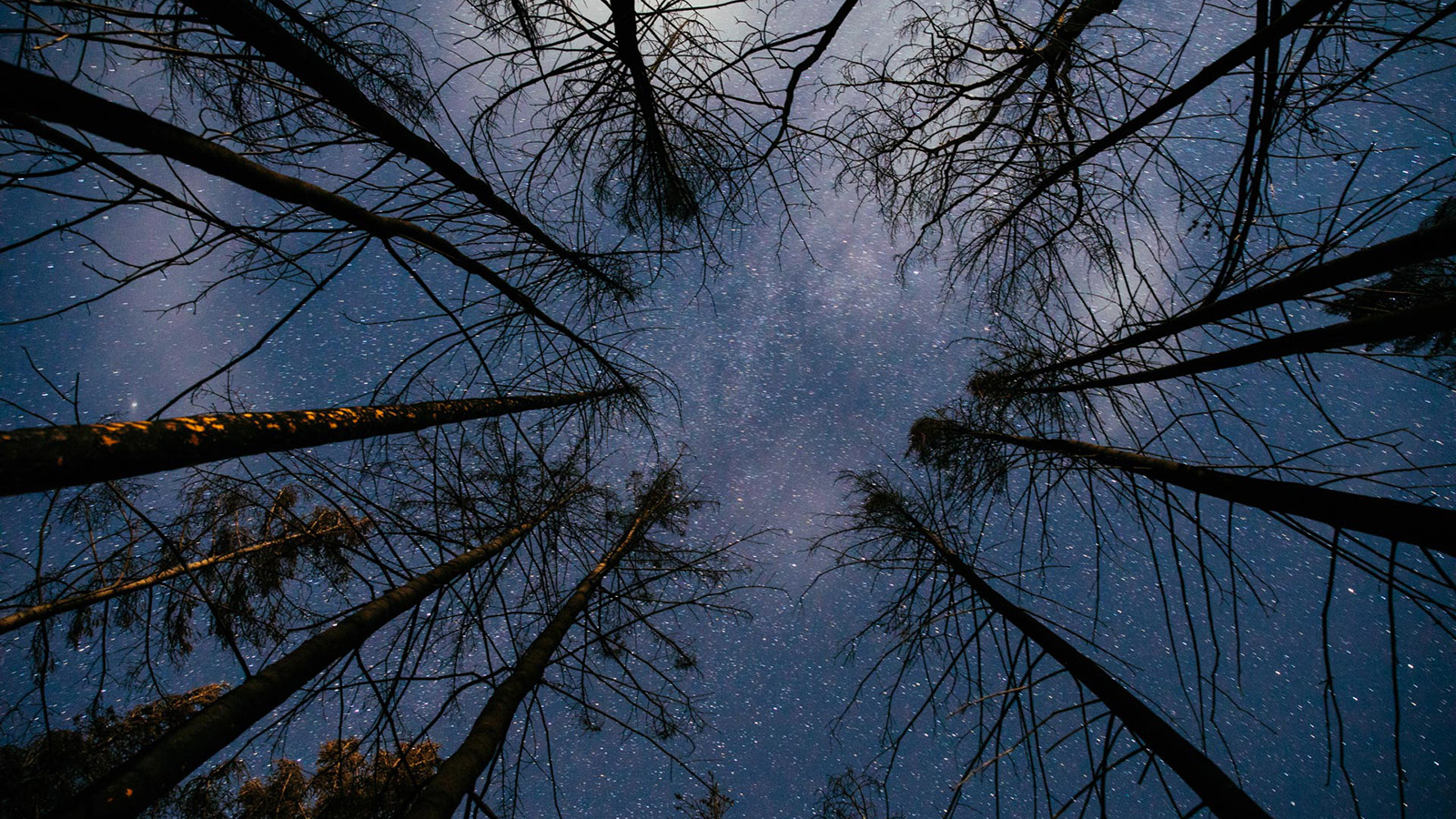 Rediscover your sense of wonder...